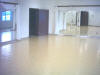Sport Court Dance Floor 1